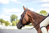 4-H Regionals 2022